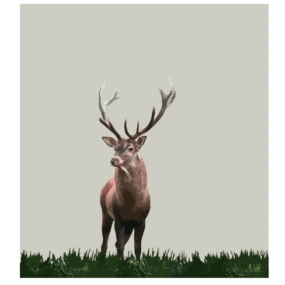 Торговая марка №1064487