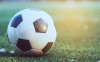 ЕДИНЫЙ ЦУПИС и академия «Динамо» развивают детский футбол