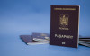Как получить паспорт Румынии по корням