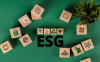 ESG-трансформация бизнеса: что это за принципы и для чего их внедрять