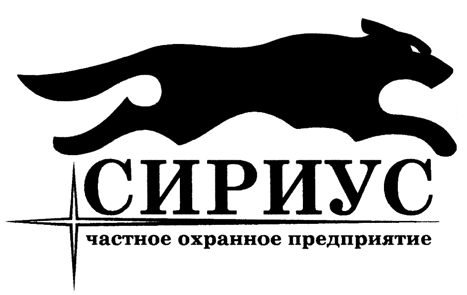 Ооо сириус. Частное охранное предприятие лого. Чоп Сириус Кемерово. Логотипы частных организаций. Логотип частной компании.