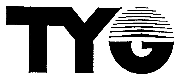 Tong yang group. Tyg. Tyg эмблема.