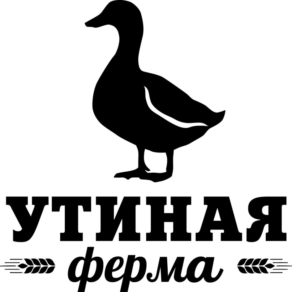 Работаю с утками картинка