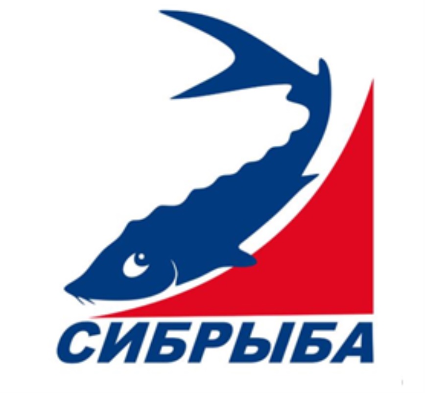 Сибрыба ул кутузова 1 стр 31 фото