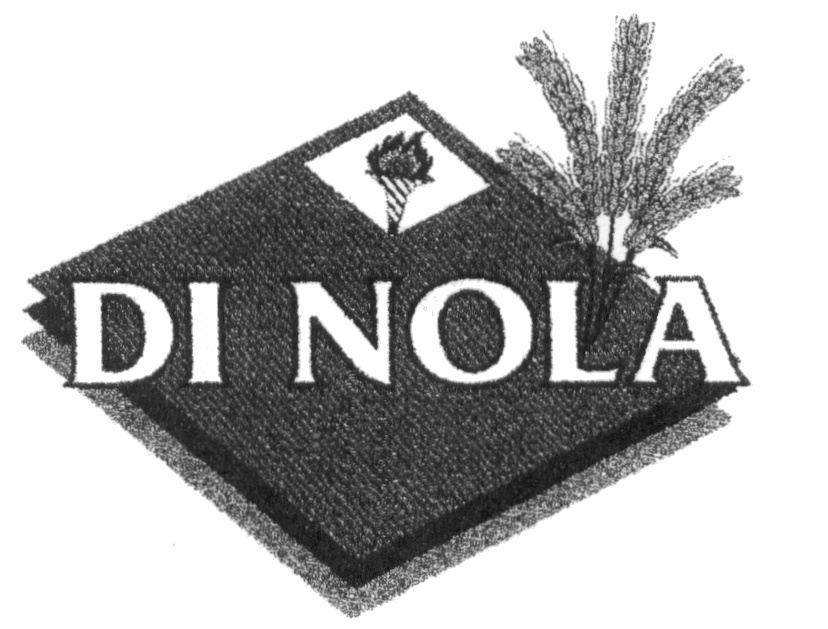 Nola символ. Косметика Nola. Ди Нола груп. Nola краткая информация.