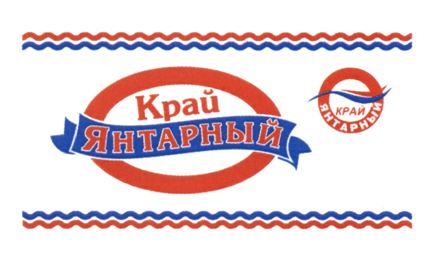 Проект янтарный край