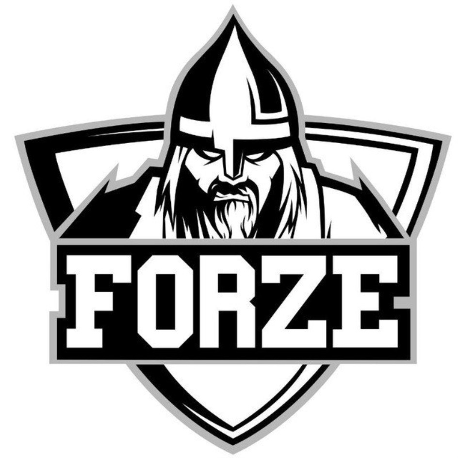 Форз. Forze. Forze значок. Логотип команды forze. Ава forze.