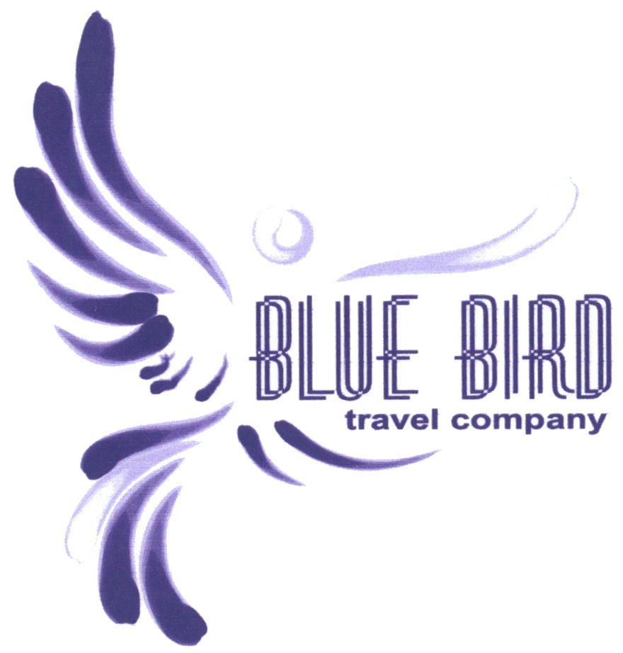 Bird company