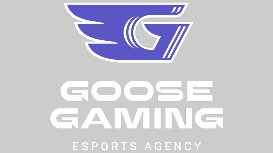 Goose gaming. Гус гейминг. Goose Gaming: Esports & Gaming Agency примеры рекламы.