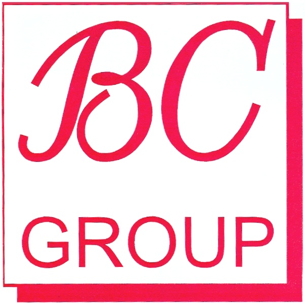 Bc group. Бизнес ООО.