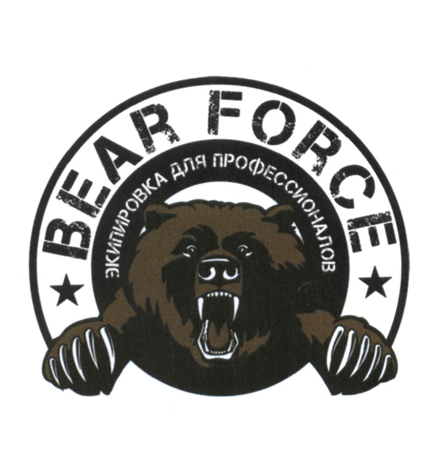 Force bore. Экипировка Bear Force для профессионалов. Bear Force войска. Bear Force коробка. Bear Force патч "Великие славяне" ПВХ.