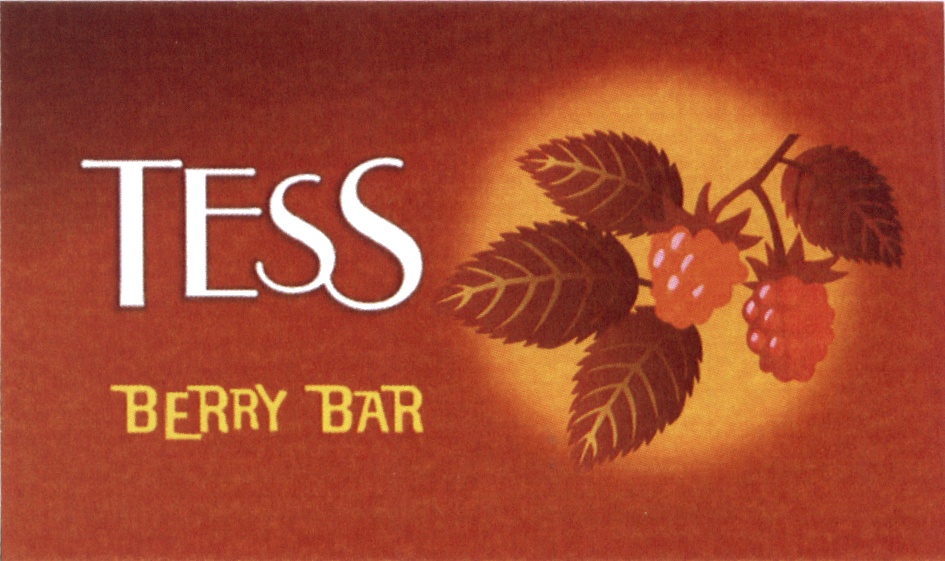 Бар berry. Тесс Берри бар. Berry Bar перевод. Berry Bar, Вологда.