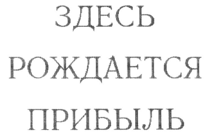 Здесь рождаются. Прибыль рождается.