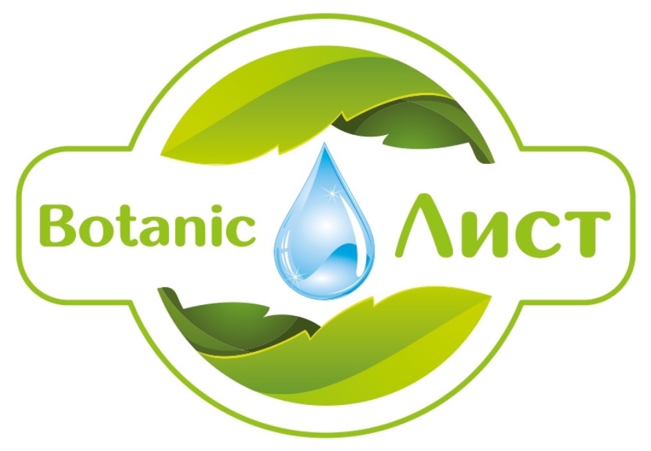 Макросъемка листа растения. Ботаника листья вектор. Лист (ботаника). Лист (ботаника). Ботаник лист.
