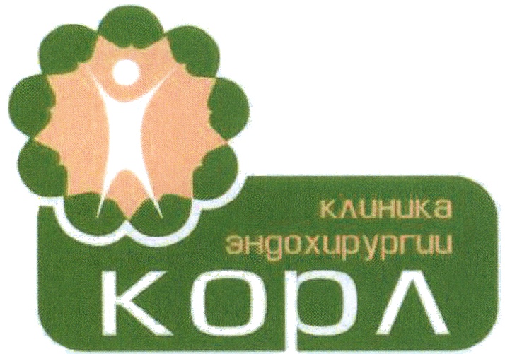 Корл казань