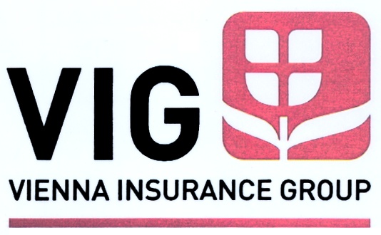 Vig. Vienna insurance Group. Meet-компания «Vienna insurance Group». Compensa Vienna insurance Group страховки. Logo Donaris Vienna insurance Group sa.