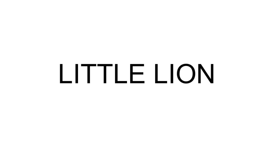 Little lion перевод