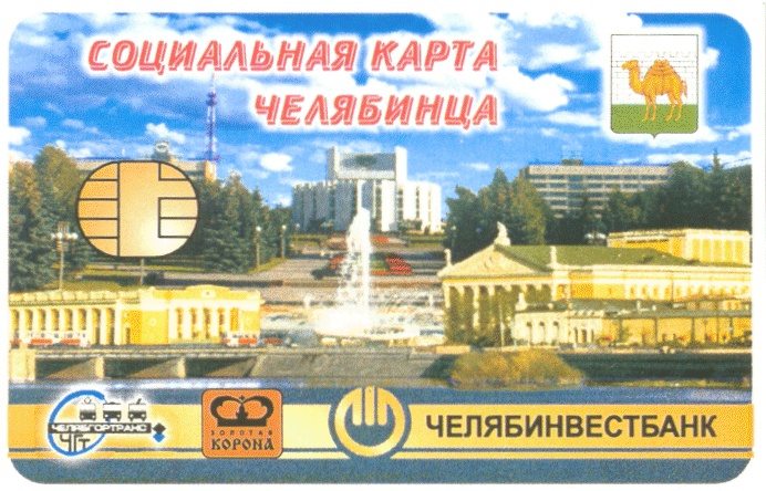 Социальная карта челябинца