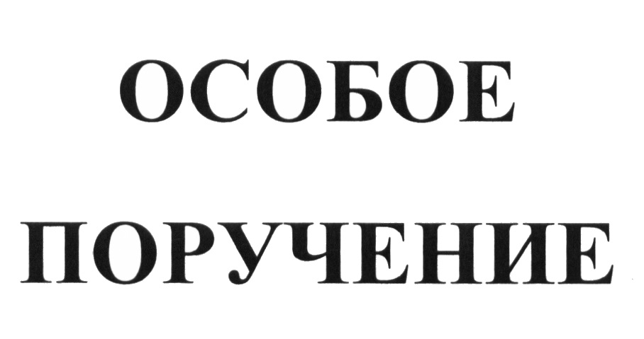 Особое поручение. Особые поручения. Особое поручение логотип. Особое поручение ценник. ООО особое поручение.