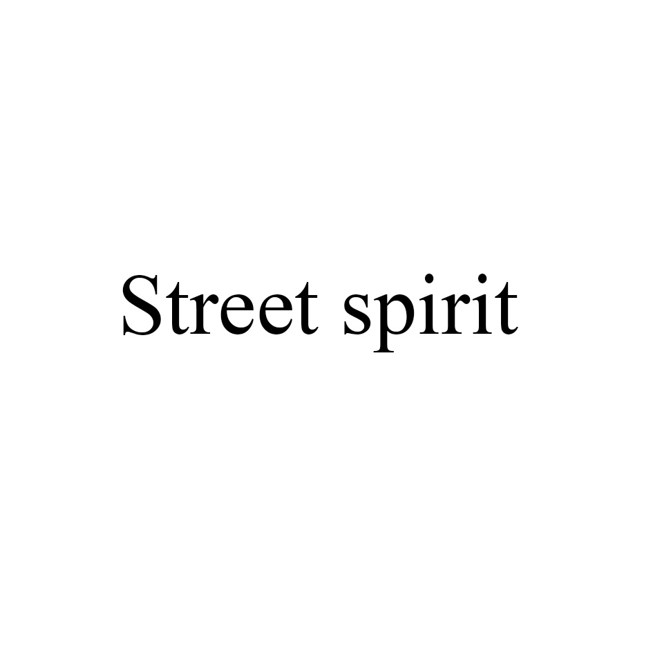 Тин спирит перевод. Street Spirit перевод. Street Spirit. Street Spirit одежда. Кто владелец спирит.