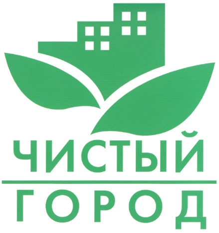 Социальный проект: "Чистый город" - презентация онлайн
