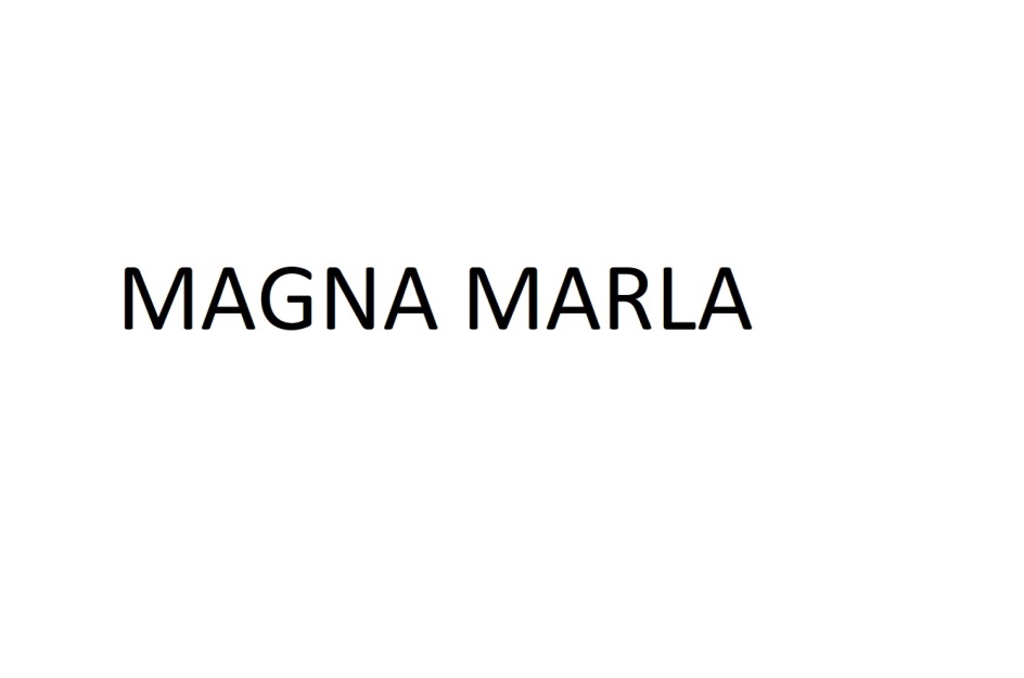 Магна карта юридическая компания. Магна карт бренд. Магна Нижний Новгород. Краснодар Магна торговый дом. Magna est