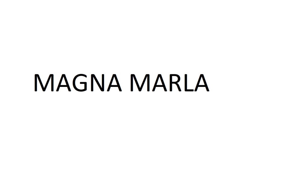 Magna est. Магна карта юридическая компания. Магна карт бренд. Магна Нижний Новгород. Краснодар Магна торговый дом.