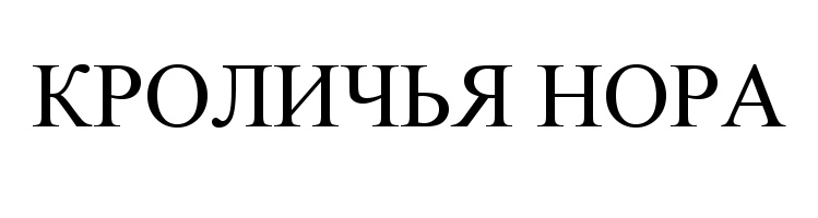 Проект кроличья нора что это