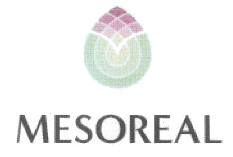 Мезореал. Mesoreal логотип. Мезореал Мещанская.