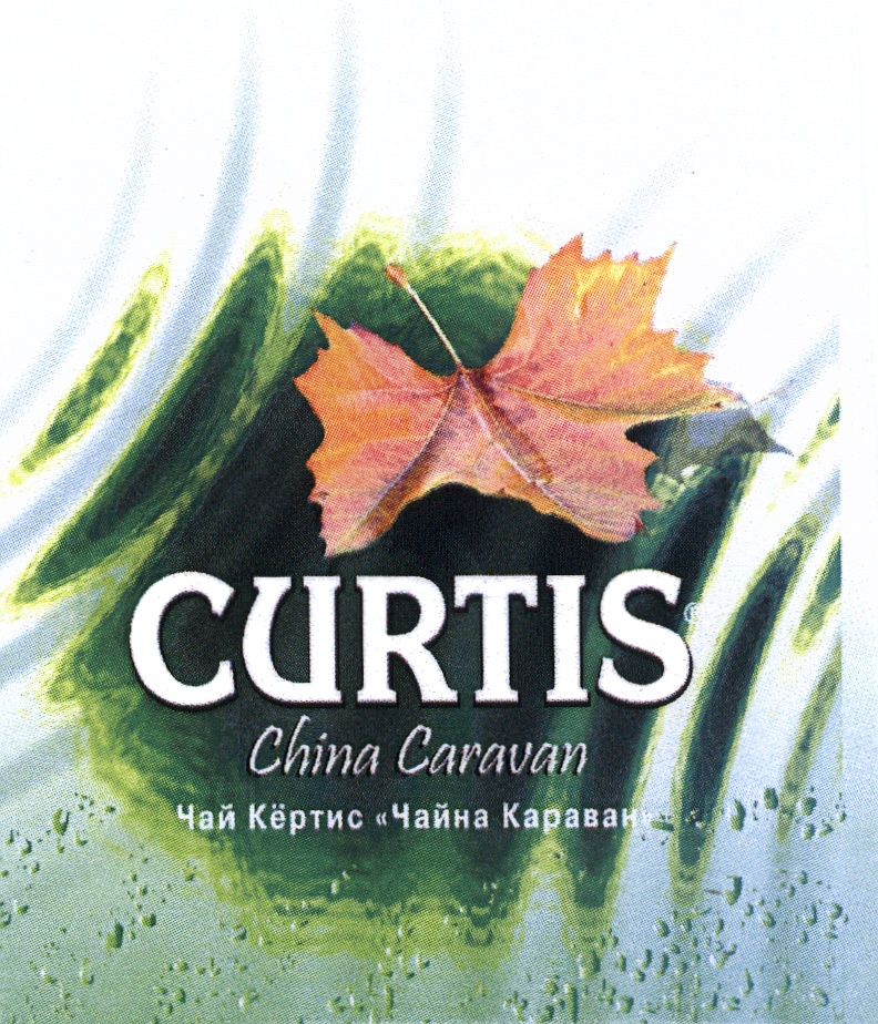 Curtis лого. Чай Кертис лого. Товарный знак чая Curtis. Кертис чай эмблема. Караван чай
