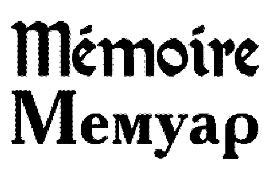 Мемуар. Memoire. Memoir text.