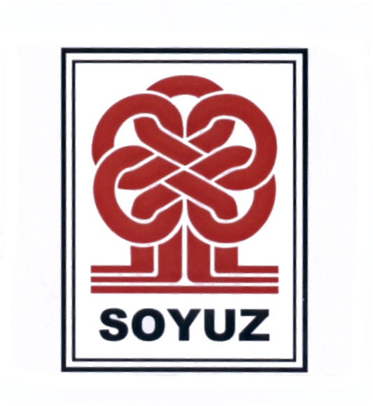 Ооо дв-союз хабаровск. Ооо общество. Общество с ограниченной ответственностью (ооо). Товарный знак союз знак. Общество с ограниченной ответственностью союз.