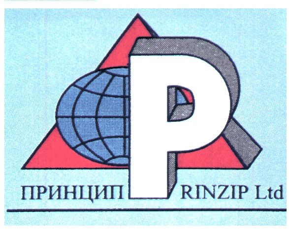 Принцип р. Prinzip эмблема. ОАО принцип. Компания ООО «принцип». Логотипы строительных компаний Prinzip.