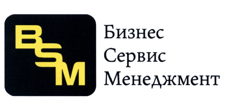 Бизнес сервис. ООО бизнес менеджмент. ООО бизнес сервис. BSM компания. Сервисы для бизнеса.