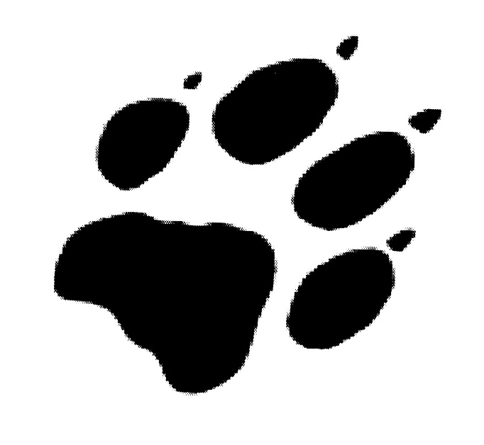 След тигра 2. Тигровый след. Лапка логотип. След ягуара. Отпечаток лапы снежного Барса