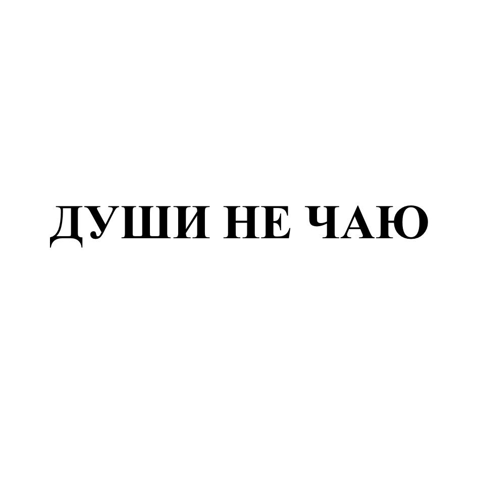 Души не чаю. Души не чаю логотип. Я В тебе души не чаю. Души в тебе не чаю.