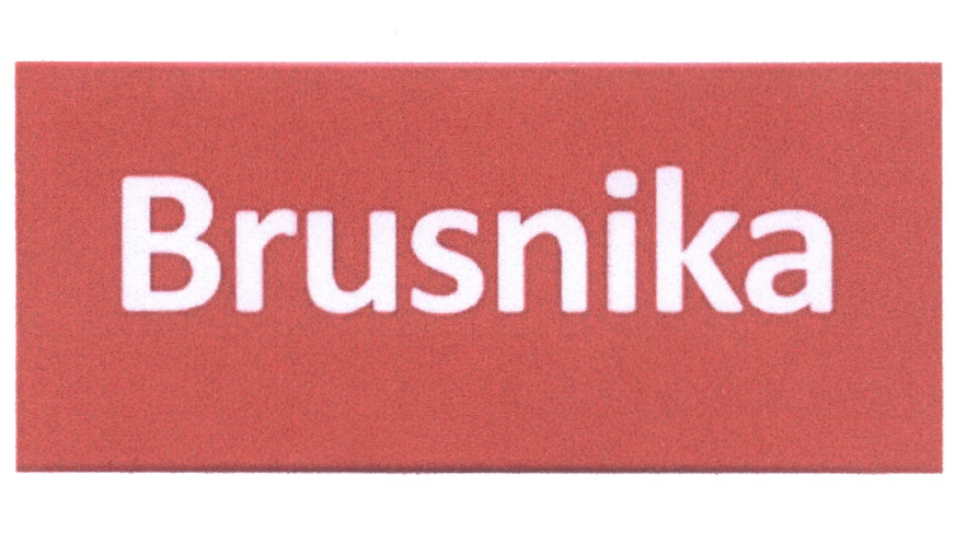 Brusnika brand. Брусника товарный знак. Брусника одежда логотип. Шрифт Brusnika. Маркетинговое агентство брусника.