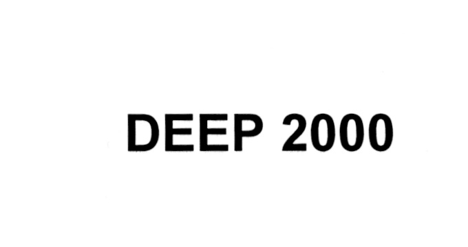 2000 владелец. ДИИП 2000. Логотип ДИИП 2000. Дип знак. ДИИП 2000 ИНН.