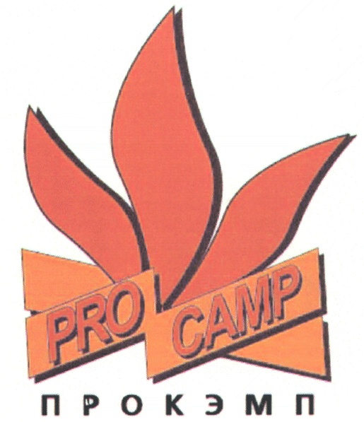 Pro camp. Кемп. PROCAMP. ОКЭМ.