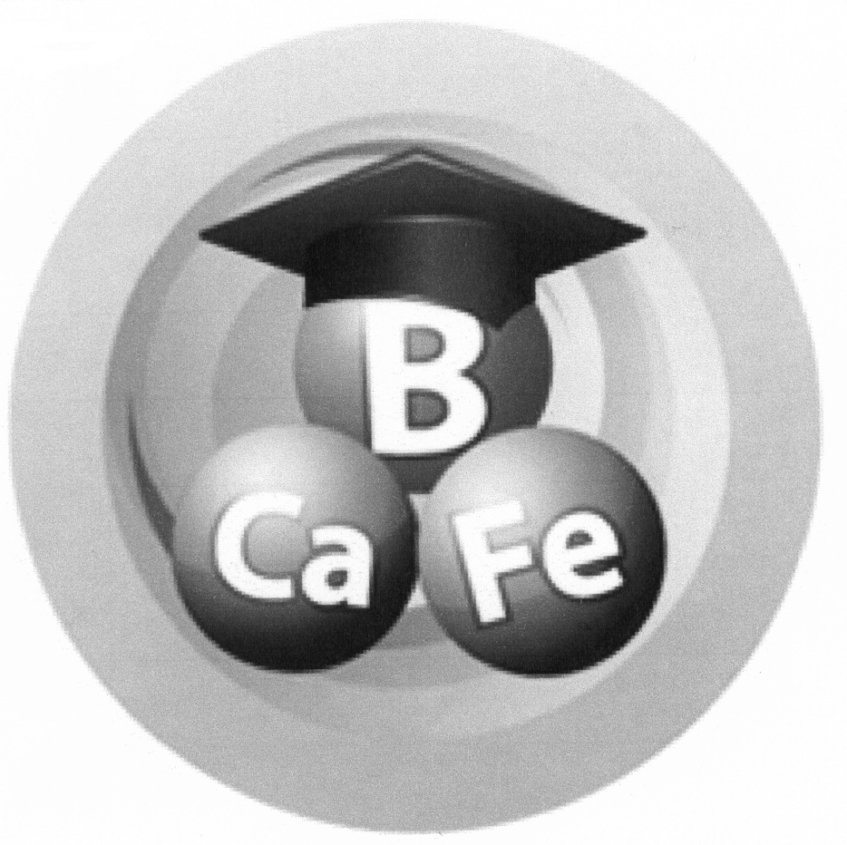 B fe. Пр Fe. A.CA.B. Ocou-co-b-CA
