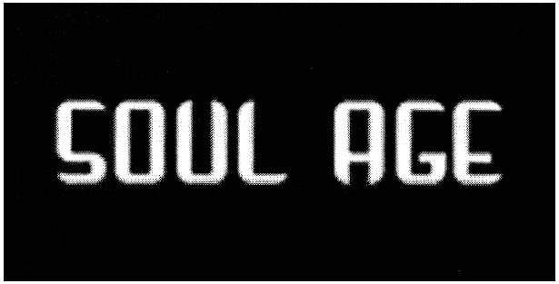 Soul age что за бренд