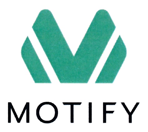 Motify фитнес проект бесплатно