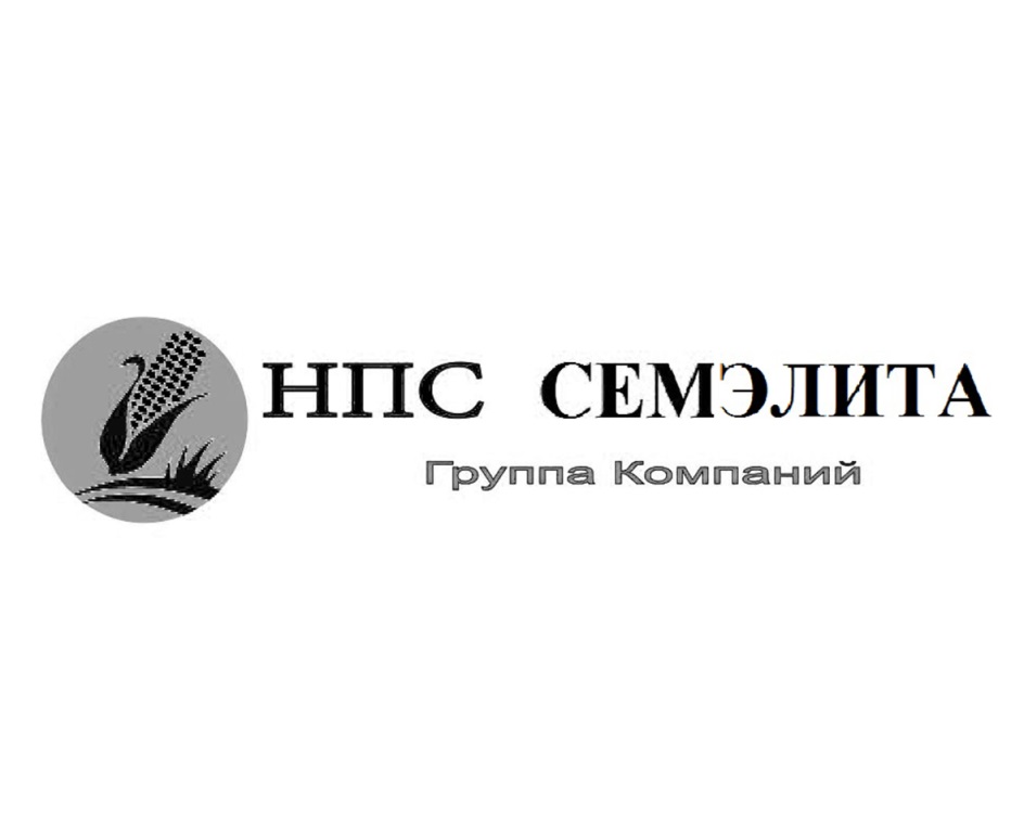 Npc groups. Семэлита. NPS Group.