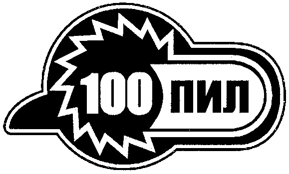 Пив 100. 100 Пил логотип. СТО пил Реутов.