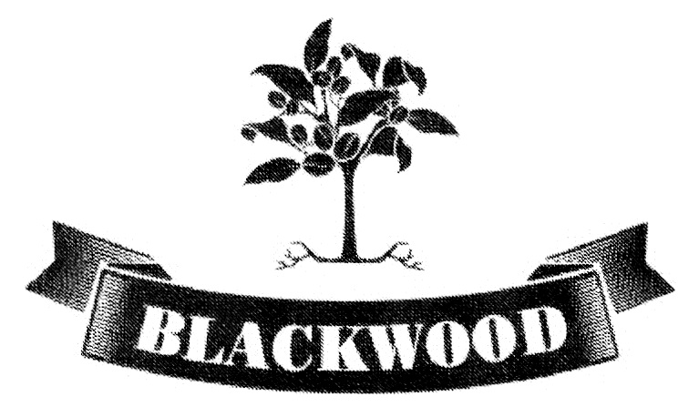 Davos blackwood. Блэквуд Новосибирск. Блэквуд кофе. Блэквуд кофе Новосибирск логотип. Blackwood Coffee логотип.