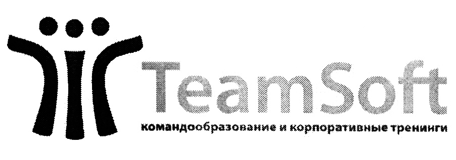 Soft team. Тимсофт. Лого Тимсофт. Тимсофт Казань официальный сайт. Тим софт лагерь Казань.