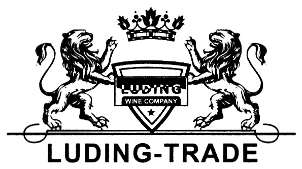 Luding group. Лудинг логотип. ООО Лудинг. Лудинг ТРЕЙД. Лудинг Москва.