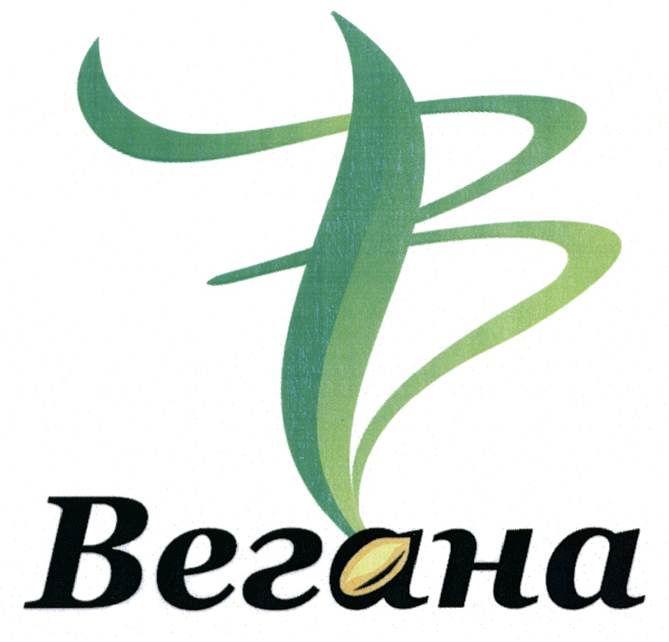 Веган бренды. Веган магазин. Веган шоп. Веган бренды. Веган бренды.