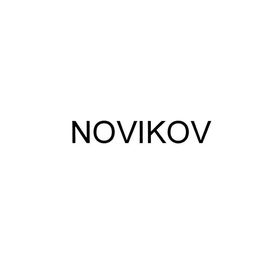 Novikov group