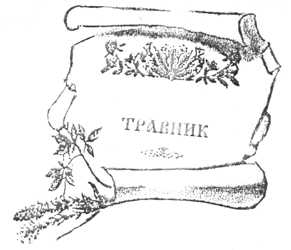 Язык травниц алфавит. Буквы травник. Буквы травник. Буквы травник. Лекарственные растения надпись.